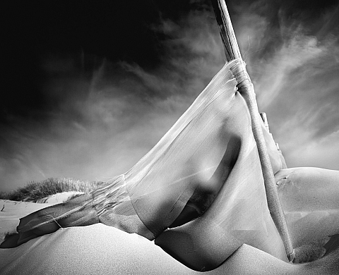 Exposition : « Temps suspendus » de Bruno Mercier et Yeonhee Park