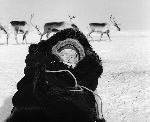 Exposition : « Destins Dolganes » de Nicolas Mingasson