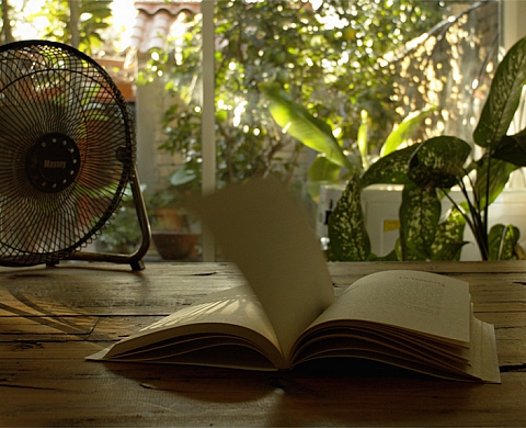 Exposition : « Mésoamérique : l'effet ouragan » d'Edgardo Aragón