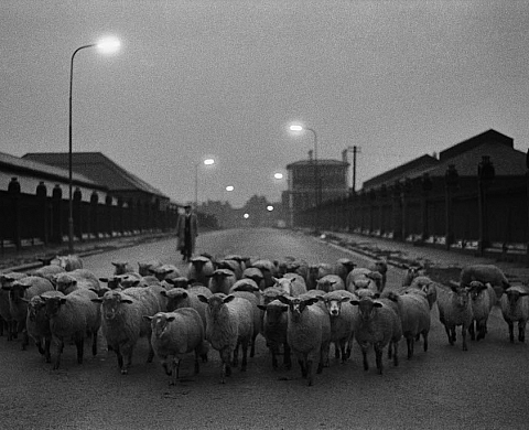 Exposition : « Photo London »