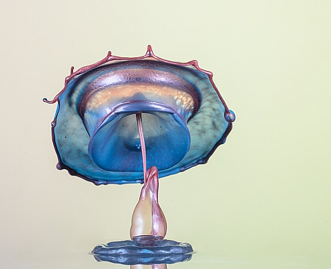 Exposition : « L'éternité d'un instant » de Hélène Caillaud