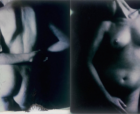 « Sous une pierre amante », Polaroid érotiques « Sous une pierre amante », Polaroid érotiques
