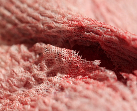 Exposition : « Images fluides »