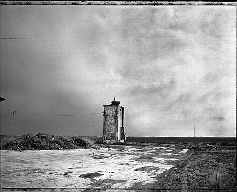 Festival Are You Experiencing 2016