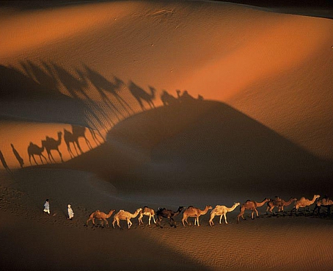 Vente de tirages signés de Yann Arthus-Bertrand 
