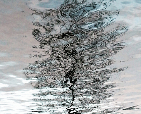 Exposition : Reflets aquatiques de Marie-Lys Hagenmüller Exposition : Reflets aquatiques de Marie-Lys Hagenmüller