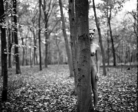 Exposition : « Eros et nature » de Linda Tuloup 