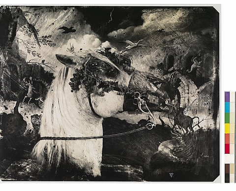 Exposition : « L’Esprit Singulier, La Collection de l’Abbaye d’Auberive » 