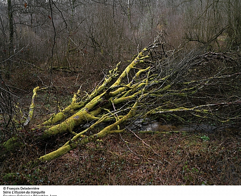 Exposition : « L'Illusion du tranquille » de François Deladerrière