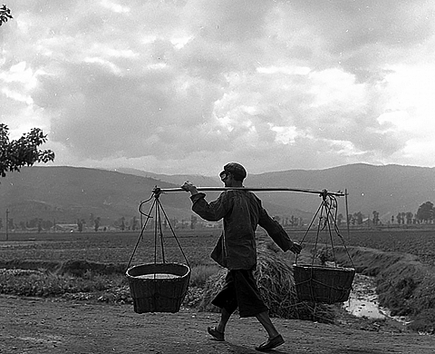 Exposition : « Patates et compagnie » d'Agnès Varda Exposition : « Patates et compagnie » d'Agnès Varda