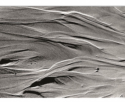 Des photographies de Lucien Clergue aux enchères à l'hôtel Drouot