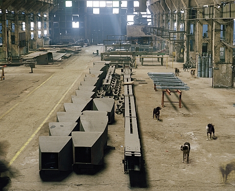 Exposition : « Fourrure, vitrine, photographie » de Gilles Saussier et Stéphanie Solinas