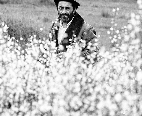 Exposition : « Casa das Sete Senhoras » de Tito Mouraz