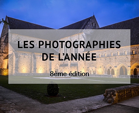 Un photographe de mariage lauréat de la photographie de l'année