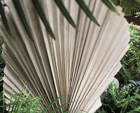 Exposition : « Jardin des curiosités et merveilles » de Jean-Christophe Ballot