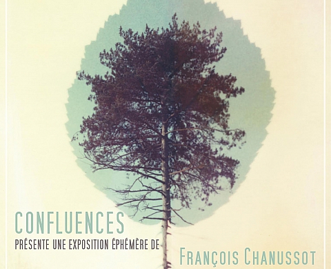 CONFLUENCES & EXPOLAROID #4 CONFLUENCES & EXPOLAROID #4
