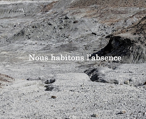 Michel Houellebecq, bientôt une exposition au Palais de Tokyo