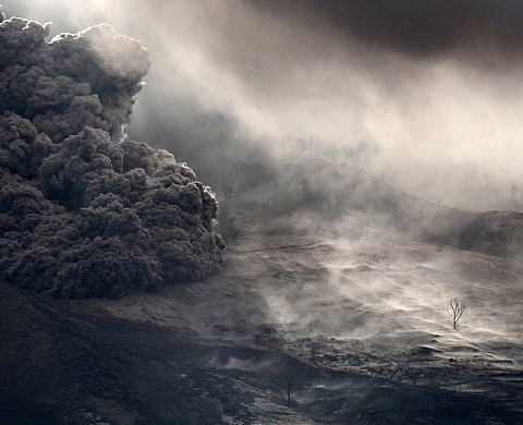 Concours Smithsonian : (encore) de sublimes photos primées !