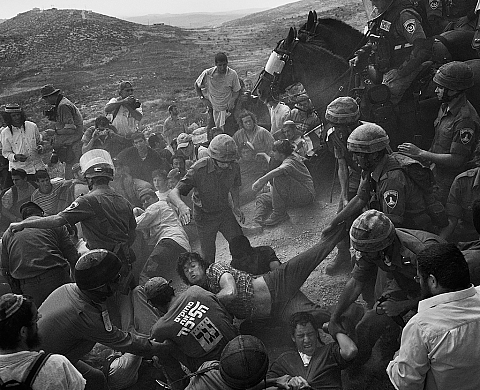 International Photography Contest : les lauréats dévoilés