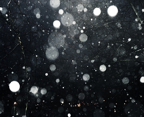 Exposition : « Territoire Fragile ou la vulnérabilité des corps » de France Dubois 