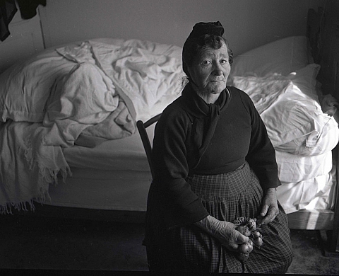 Exposition : « A hauteur d'homme » de Michel Thersiquel