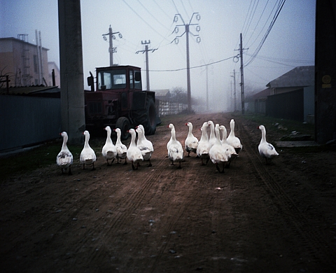 Exposition : « SULINA ou le Far-East européen » de Julien Pebrel