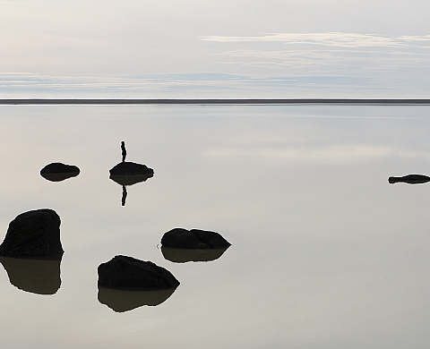 Exposition : «autoportraits aventureux» au Renaissance Paris Vendome