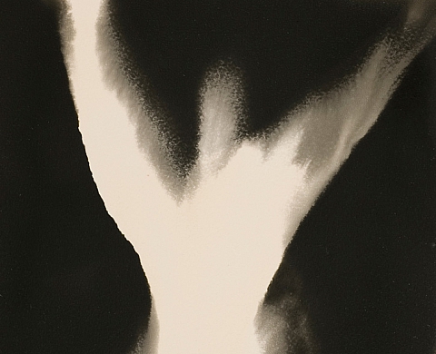 Exposition : « L'oeuvre unique, en photographie » 