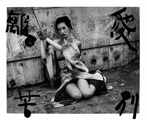 Exposition : « Araki » Exposition : « Araki »