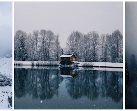 Exposition : « Talents grainedephotographe.com 2016 » Exposition : « Talents grainedephotographe.com 2016 »