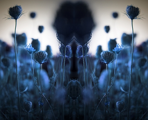 Exposition « Face à Face » de Nicolas Jardry