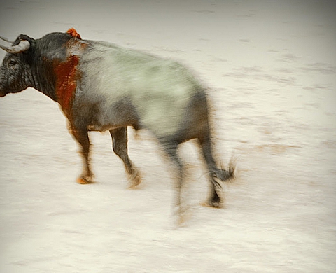 Exposition des lauréats du concours 2016 du concoours Sophot.com