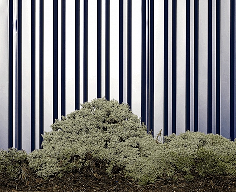 Exposition « Grand Sud » de Jérôme Bryon Exposition « Grand Sud » de Jérôme Bryon