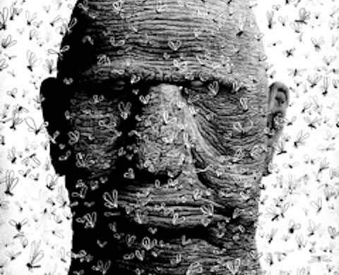 Exposition : « Nourrir le monstre », de Killoffer