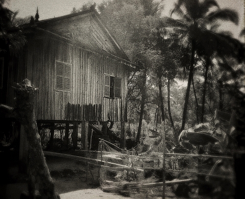 Exposition : « Lointains souvenirs » de  Flore