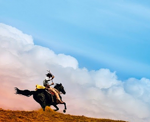 La World Photography Organisation introduit son salon international de la photographie à San Francisco