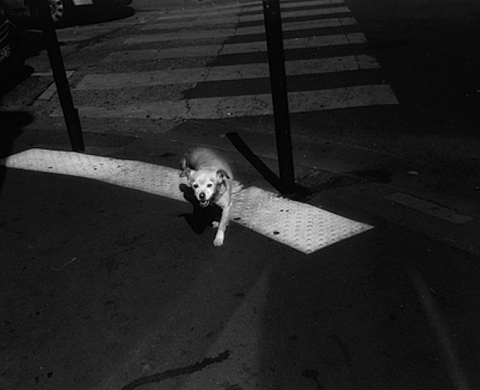 Exposition : « SAM » avec Myung-Ok Han, Peter Kim et Oan Kim