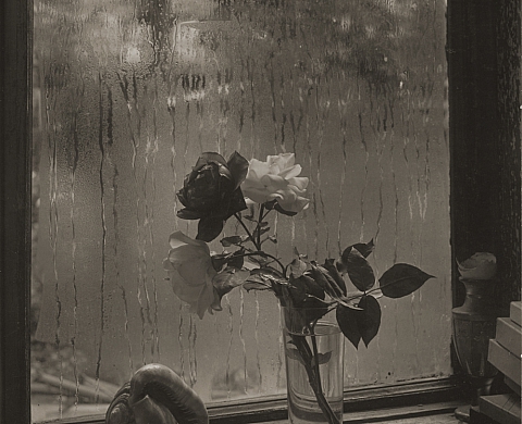 Exposition : « Le monde à ma fenêtre » de Josef Sudek Exposition : « Le monde à ma fenêtre » de Josef Sudek