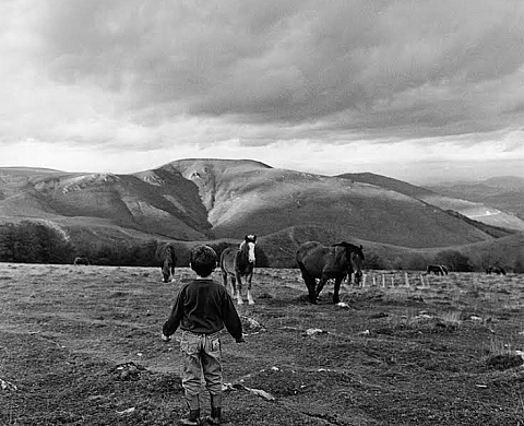 L'exposition Anne Rearick à la galerie Clémentine de la Féronnière