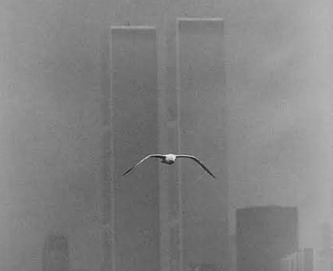 Exposition : « Les Favorites » de Louis Stettner Exposition : « Les Favorites » de Louis Stettner