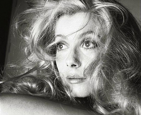 Une exposition Avedon bientôt à la BnF