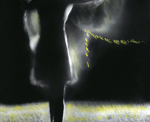 Exposition : « Papillons de nuit » de Catherine Brébel Exposition : « Papillons de nuit » de Catherine Brébel