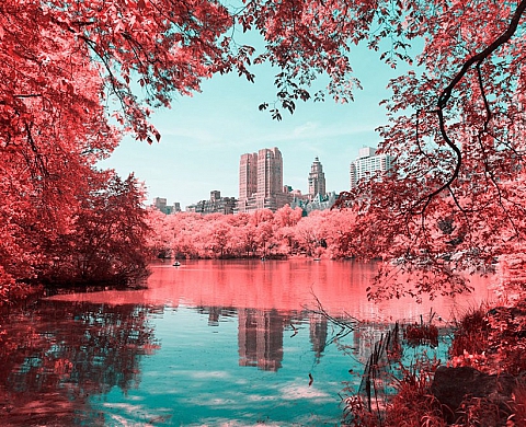 Découvrez Central Park en rose et bleu