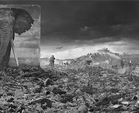 L'exposition «Inherit The Dust » de Nick Brandt L'exposition «Inherit The Dust » de Nick Brandt