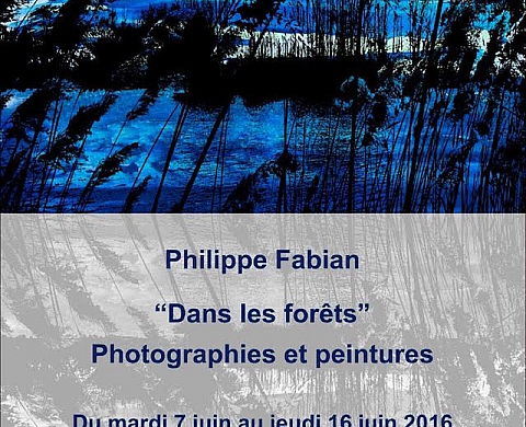 Exposition : « Dans les forêts » de Philippe Fabian Exposition : « Dans les forêts » de Philippe Fabian