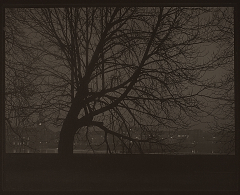 Josef Sudek, le magicien de la lumière au Jeu de Paume Josef Sudek, le magicien de la lumière au Jeu de Paume