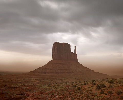 Exposition : « Another World » de Sébastien Grebille