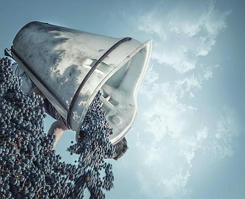 Exposition : Chinon et le métier du vin