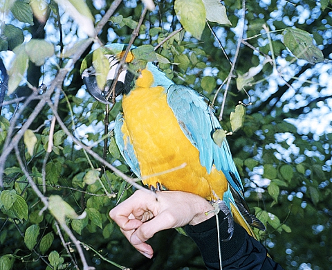 Exposition collective  « RÉSERVES » 2006-2016 à L'Atelier du midi