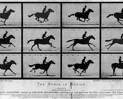 Trois films d'animation pour trois pionniers de la photographie